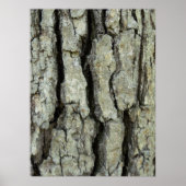 Oak Tree Bark Poster (Vorne)