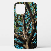 Oak Tree Branches Case-Mate iPhone Hülle (Rückseite)