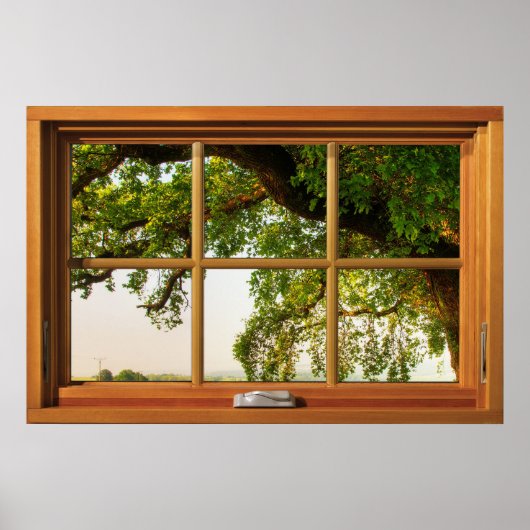 Oak Tree Branches Holzfenster Illusion Poster (Vorne)
