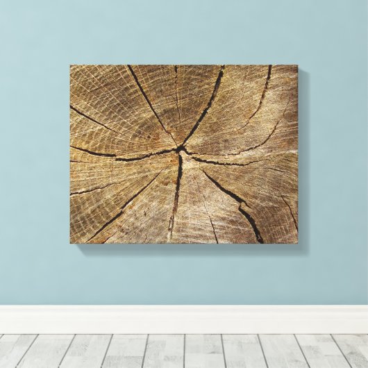 Oak Tree Cross Section Canvas Print Leinwanddruck (Insitu (Holzboden))