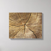 Oak Tree Cross Section Canvas Print Leinwanddruck (Vorderseite)