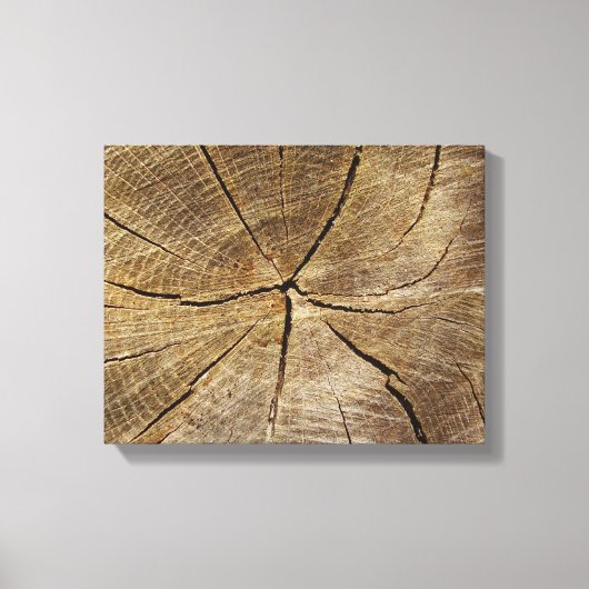 Oak Tree Cross Section Canvas Print Leinwanddruck (Vorderseite)