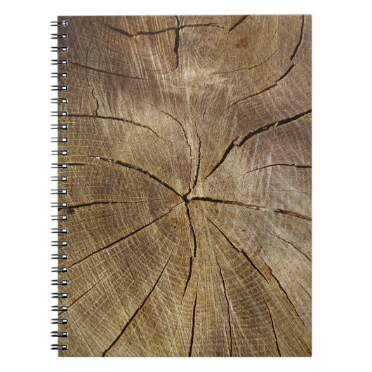 Oak Tree Cross Section Foto Notebook Notizblock (Vorderseite)