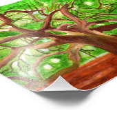 Oak Tree Foto (Ecke)