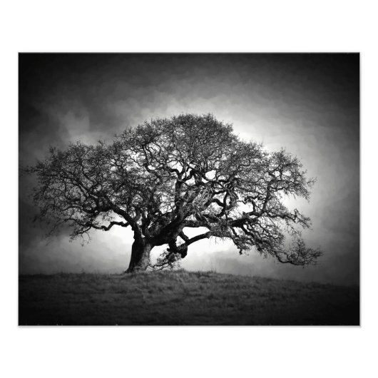 OAK TREE FOTODRUCK (Vorne)