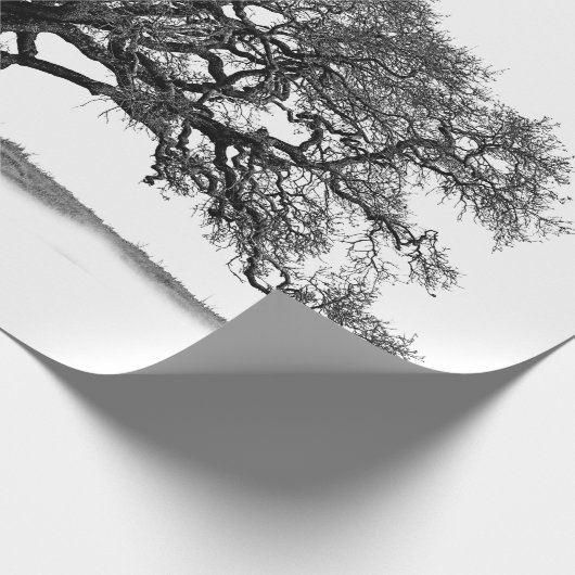 OAK TREE GESCHENKPAPIER (Ecke)