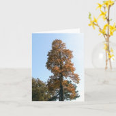 Oak Tree Grußkarte Karte (Gelbe Blume)