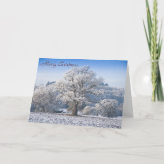 Oak Tree in Frost Weihnachtskarte Feiertagskarte