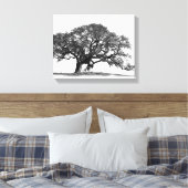 OAK TREE LEINWANDDRUCK (Insitu (Schlafzimmer))