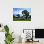Oak Tree & Meadow Landschaft Foto Poster (Heimbüro)