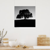 Oak Tree near Santa Cruz, Januar 1963 Poster (Küche)