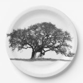 OAK TREE PAPPTELLER (Vorderseite)
