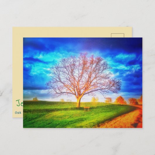 Oak Tree Postcard Postkarte (Vorne/Hinten)