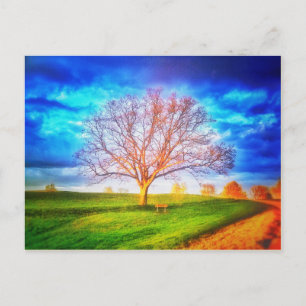 Oak Tree Postcard Postkarte