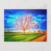Oak Tree Postcard Postkarte (Vorderseite)