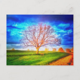 Oak Tree Postcard Postkarte