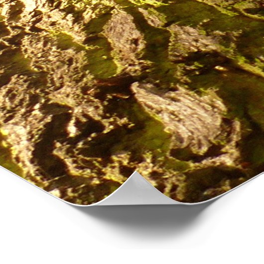 Oak Tree Poster (Ecke)