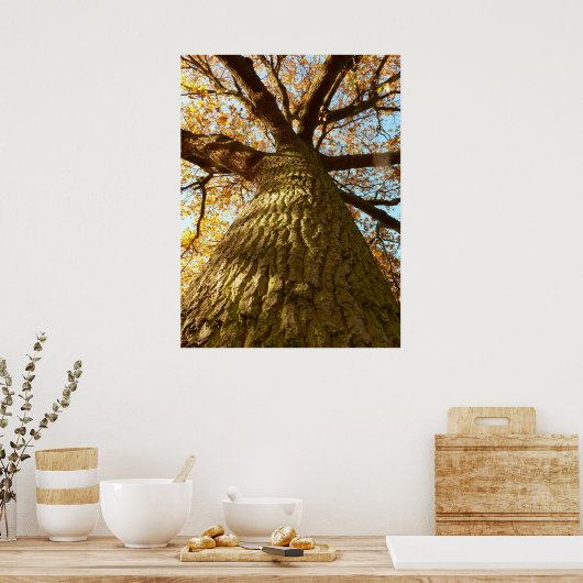 Oak Tree Poster (Küche)