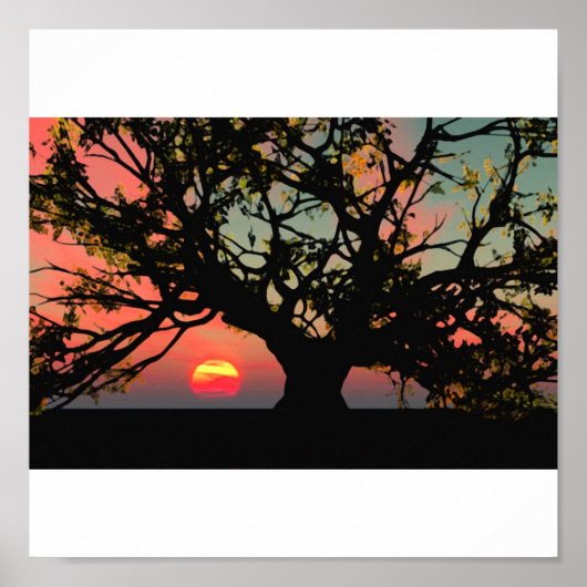 Oak Tree Sunset Poster (Vorne)