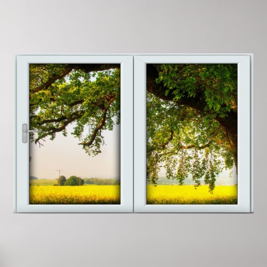 Oak Tree White 2 Pane Window Illusion Poster (Vorne)