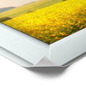 Oak Tree White 3 Pane Window Illusion Poster (Ecke)