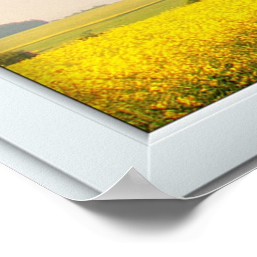 Oak Tree White 3 Pane Window Illusion Poster (Ecke)