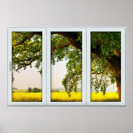 Oak Tree White 3 Pane Window Illusion Poster (Vorne)