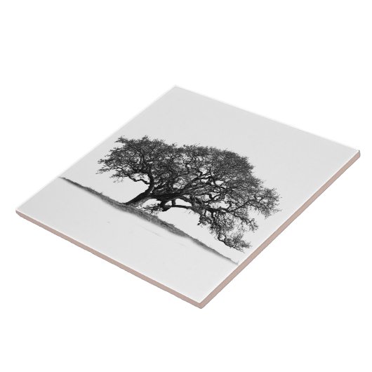 OAK TREM AUF WEISS FLIESE (Seite)