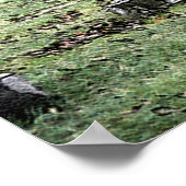 Oakdale Poster (Ecke)