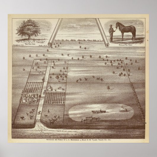 Oakdale Ranch Poster (Vorne)