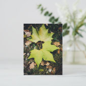 Oakenbaumgrün-Blätter Postkarte (Stehend Vorderseite)