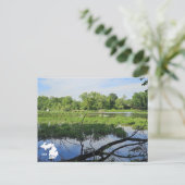 Oakland Metropark Swans mit Logo Postkarte (Stehend Vorderseite)