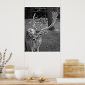 Oaklawn Deer Fine Art Print Poster (Küche)