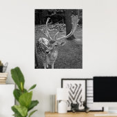 Oaklawn Deer Fine Art Print Poster (Heimbüro)