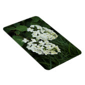 Oakleaf Hydrangea Magnet (Rechte Seite)