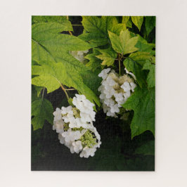 Oakleaf Hydrangea Puzzle