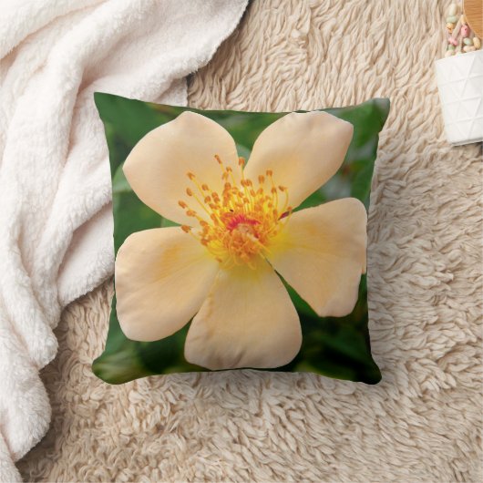 Oakley Fisher Rose Kissen (Decke)