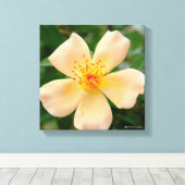 Oakley Fisher Rose Leinwanddruck (Insitu (Holzboden))