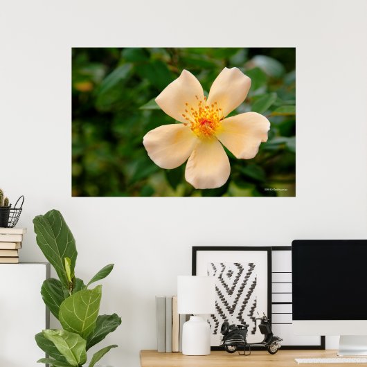 Oakley Fisher Rose Poster (Heimbüro)