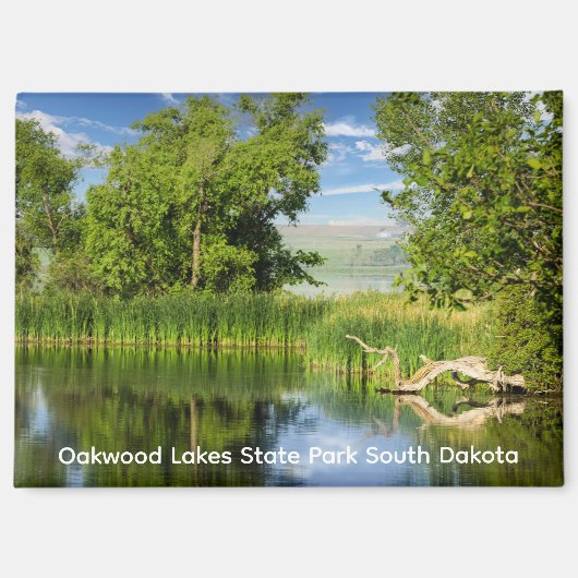 Oakwood Lakes Staat Park Magnet (Vorderseite)