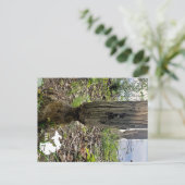 Oakwood Metropark Beaver Trail mit Logo Postkarte (Stehend Vorderseite)