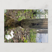 Oakwood Metropark Beaver Trail mit Logo Postkarte (Vorderseite)