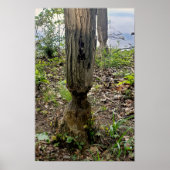 Oakwood Metropark Beaver Trail Poster (Vorne)