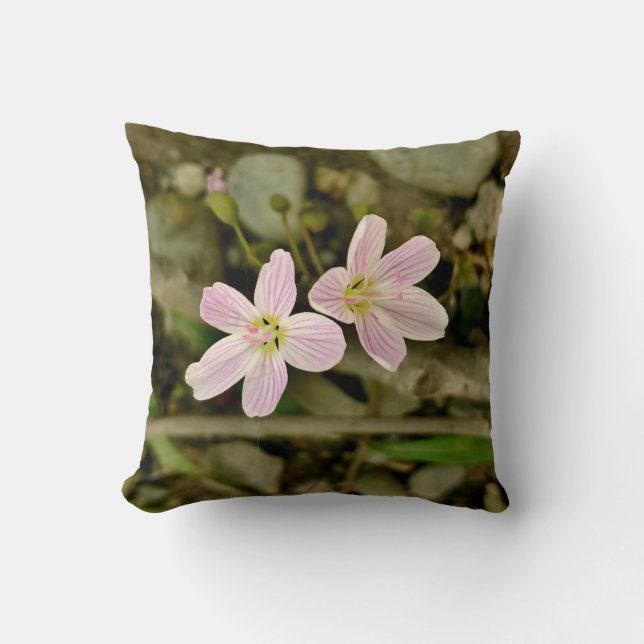 Oakwood Metropark Springbeauty Kissen (Vorderseite)