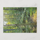 Oakwood Metropark Trail Postcard Summer Forest Postkarte (Vorderseite)