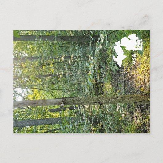 Oakwoods Metropark Weg Sommerwald mit Logo Postkarte (Vorderseite)