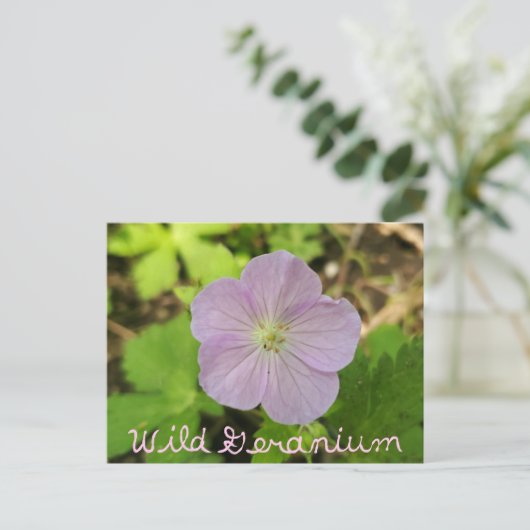 Oakwoods Metropark Wild Geranium mit Text Postkarte (Stehend Vorderseite)