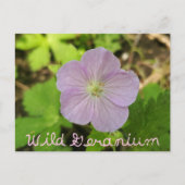 Oakwoods Metropark Wild Geranium mit Text Postkarte (Vorderseite)