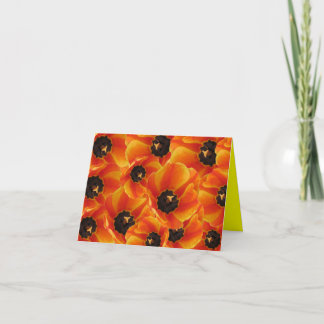 Oangetulipssideview, Orangentulip3, Orangentulip.. Karte