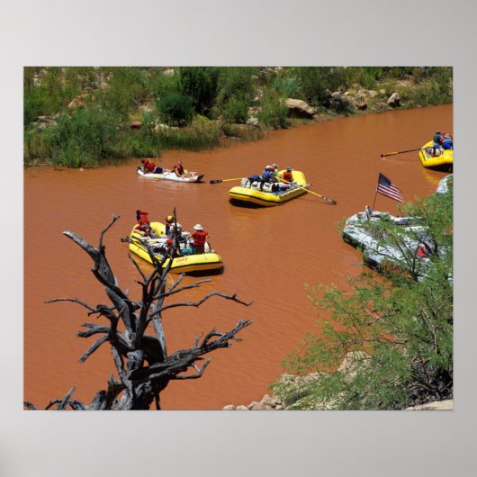Oar powered rafts turn into the Colorado River Poster (Vorne)